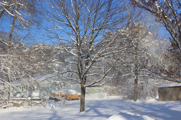 Accumulations lower further south. Photo from Maryland.