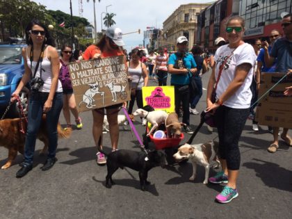 Marcha-maltrato-animal-San-Jose-4