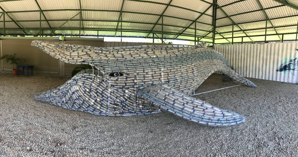 Giant whale made from plastic bottles in Puntarenas